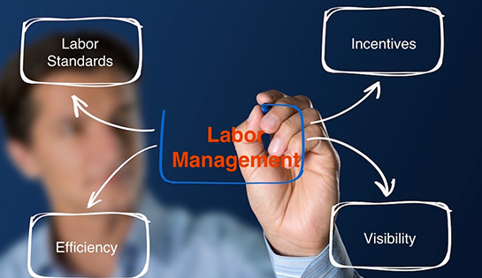 labor-standards