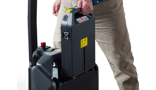 Raymond Edge - simple battery changes