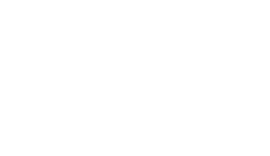 Icon of a shield with a checkmark inside
