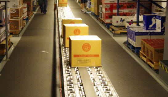 Products, Automation, Case Conveyor, Pick to Belt