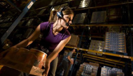 Automation, Piece Handling, Voice Picking